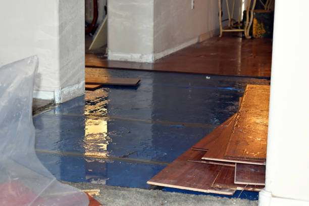 Professional Basement Flood Cleanup technician working in Lykens, PA